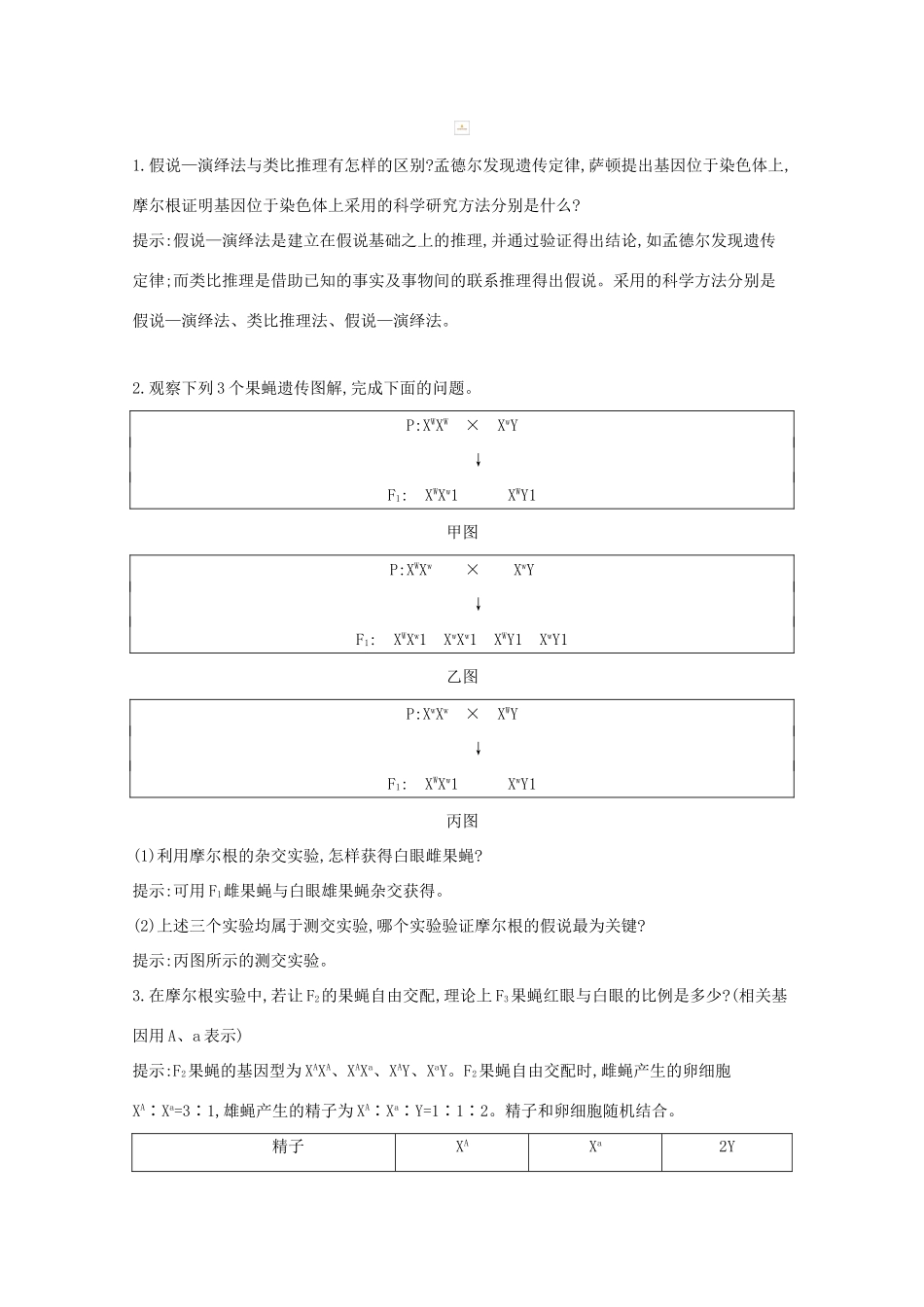 高考生物一轮复习 第五单元 孟德尔定律和伴性遗传 第16讲 基因在染色体上和伴性遗传教案 新人教版-新人教版高三全册生物教案_第3页