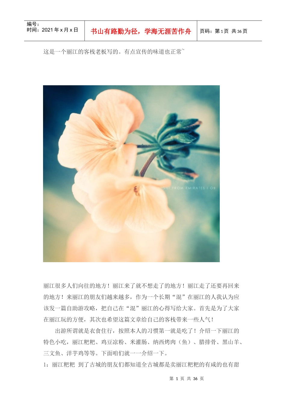 丽江旅游攻略XXXX新版_第1页