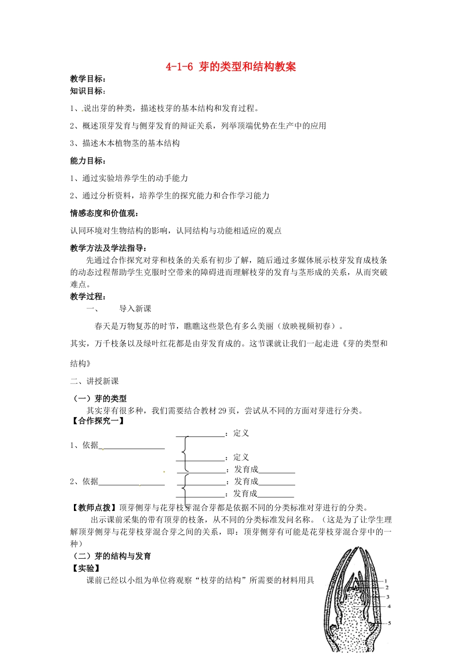 山东省枣庄市峄城区吴林街道中学八年级生物上册 4-1-6 芽的类型和结构教案 济南版_第1页