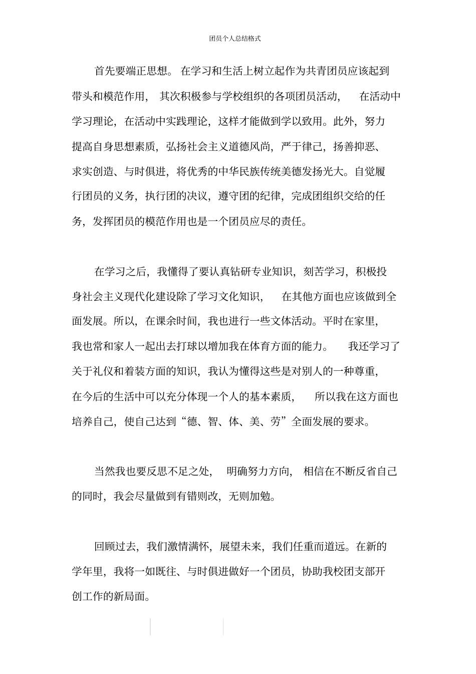 团员个人总结格式_第3页
