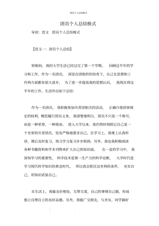团员个人总结格式