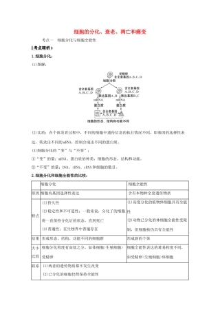 版高考生物一轮复习 第6章 细胞的生命历程 3 细胞的分化、衰老、凋亡和癌变教案 新人教版必修1-新人教版高三必修1生物教案