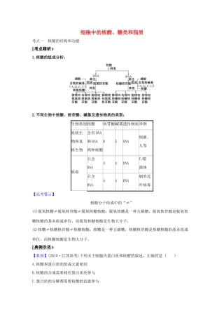 版高考生物一轮复习 第2章 组成细胞的分子 3 细胞中的核酸、糖类和脂质教案 新人教版必修1-新人教版高三必修1生物教案