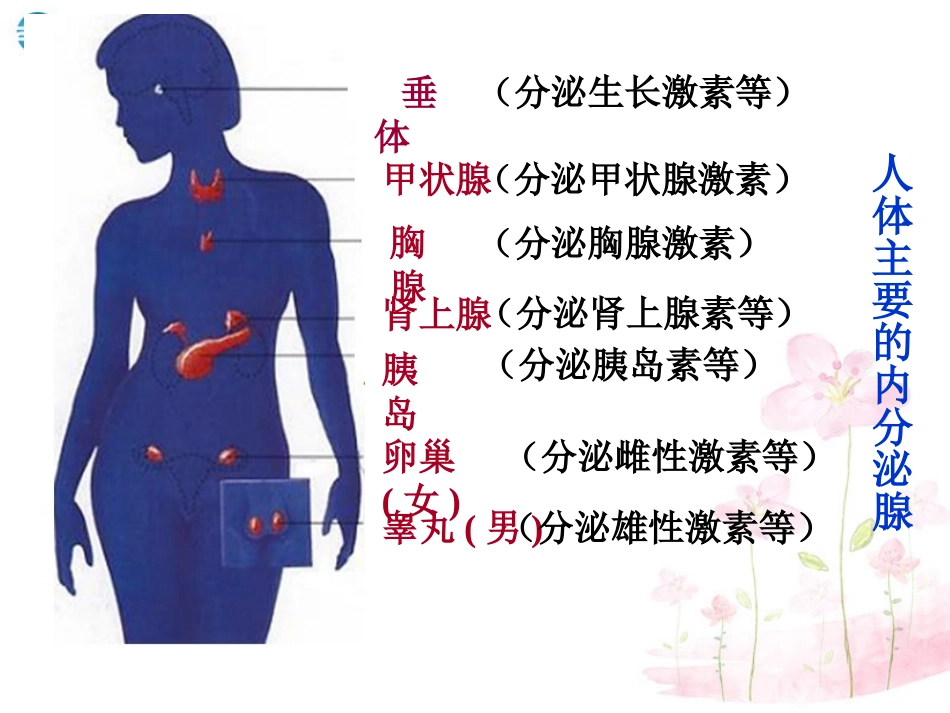 七年级生物下册 第十二章 第一节 人体的激素调节课件3 （新版）苏教版_第3页