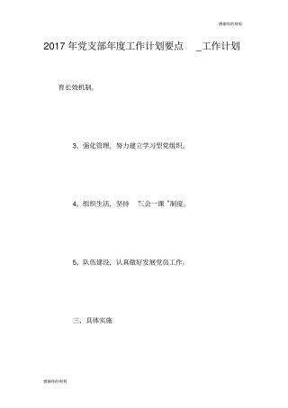 2017年党支部年度工作计划要点工作计划.doc