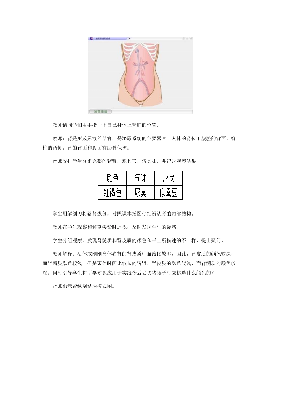 七年级生物下册 第十一章 第一节 人体泌尿系统的组成教学设计 苏教版-苏教版初中七年级下册生物教案_第2页