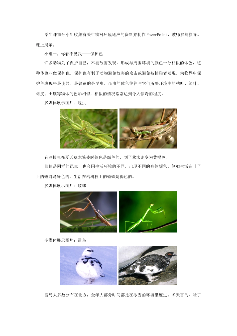 七年级生物上册 2.2.4《生物对环境的适应》教案1 （新版）苏科版-（新版）苏科版初中七年级上册生物教案_第2页