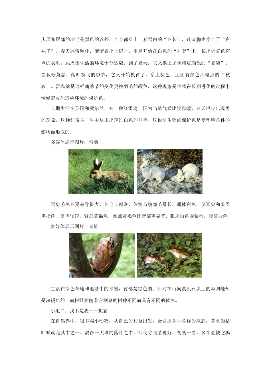 七年级生物上册 2.2.4《生物对环境的适应》教案1 （新版）苏科版-（新版）苏科版初中七年级上册生物教案_第3页