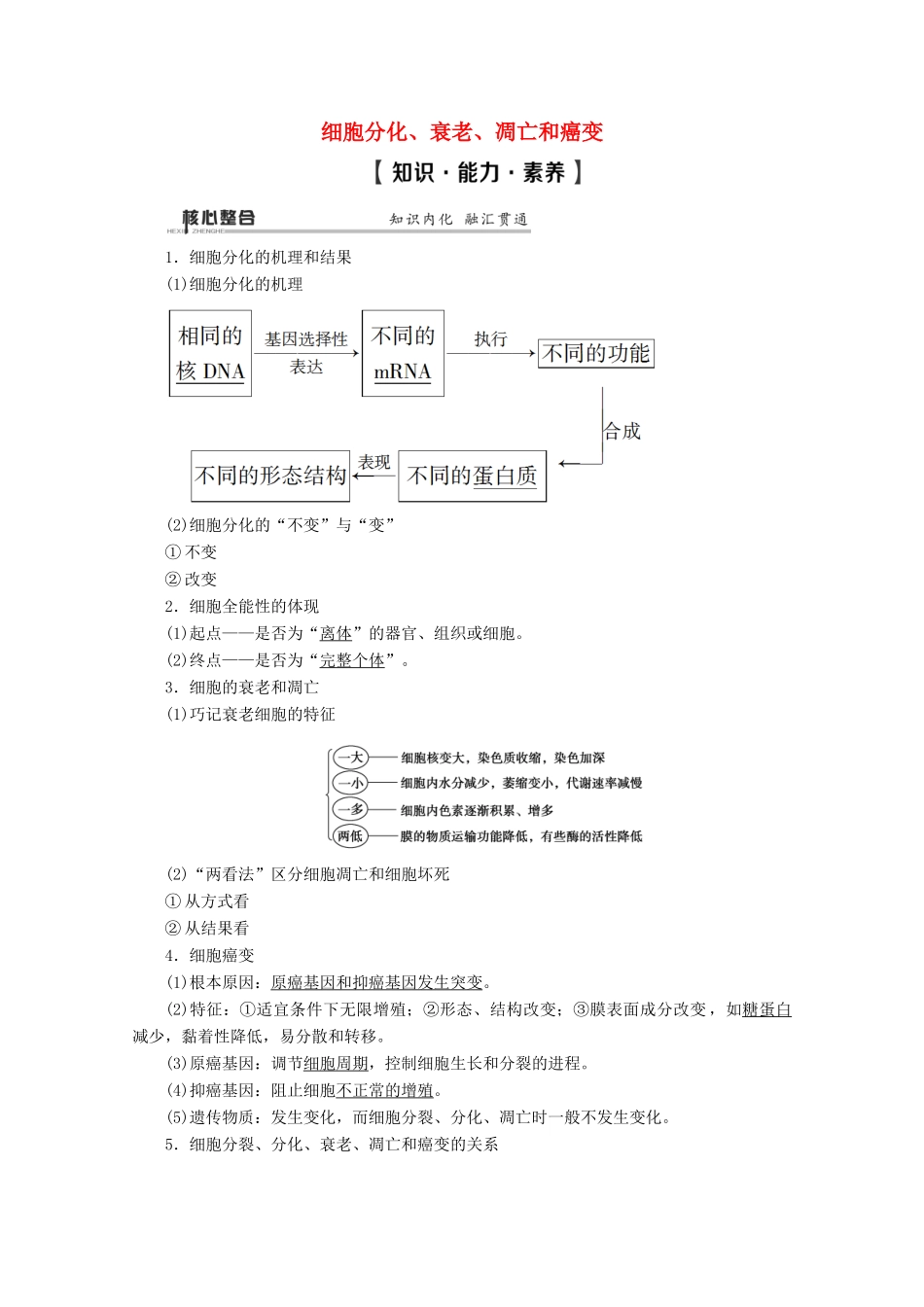 （通用版）高考生物二轮复习 第1部分 专题4 细胞的生命历程 考点2 细胞分化、衰老、凋亡和癌变教案-人教版高三全册生物教案_第1页