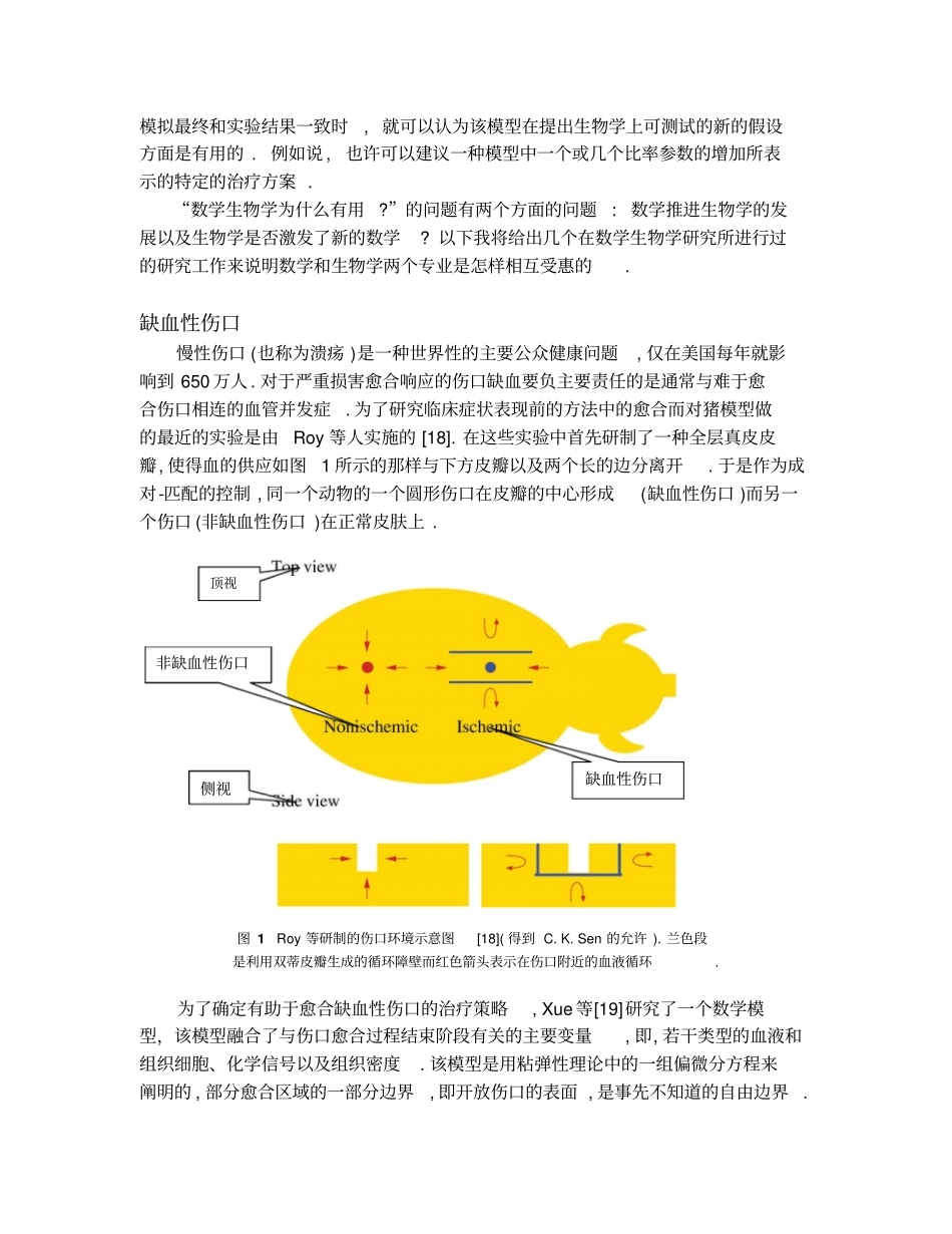 什么是数学生物学以及它为什么有用？_第3页