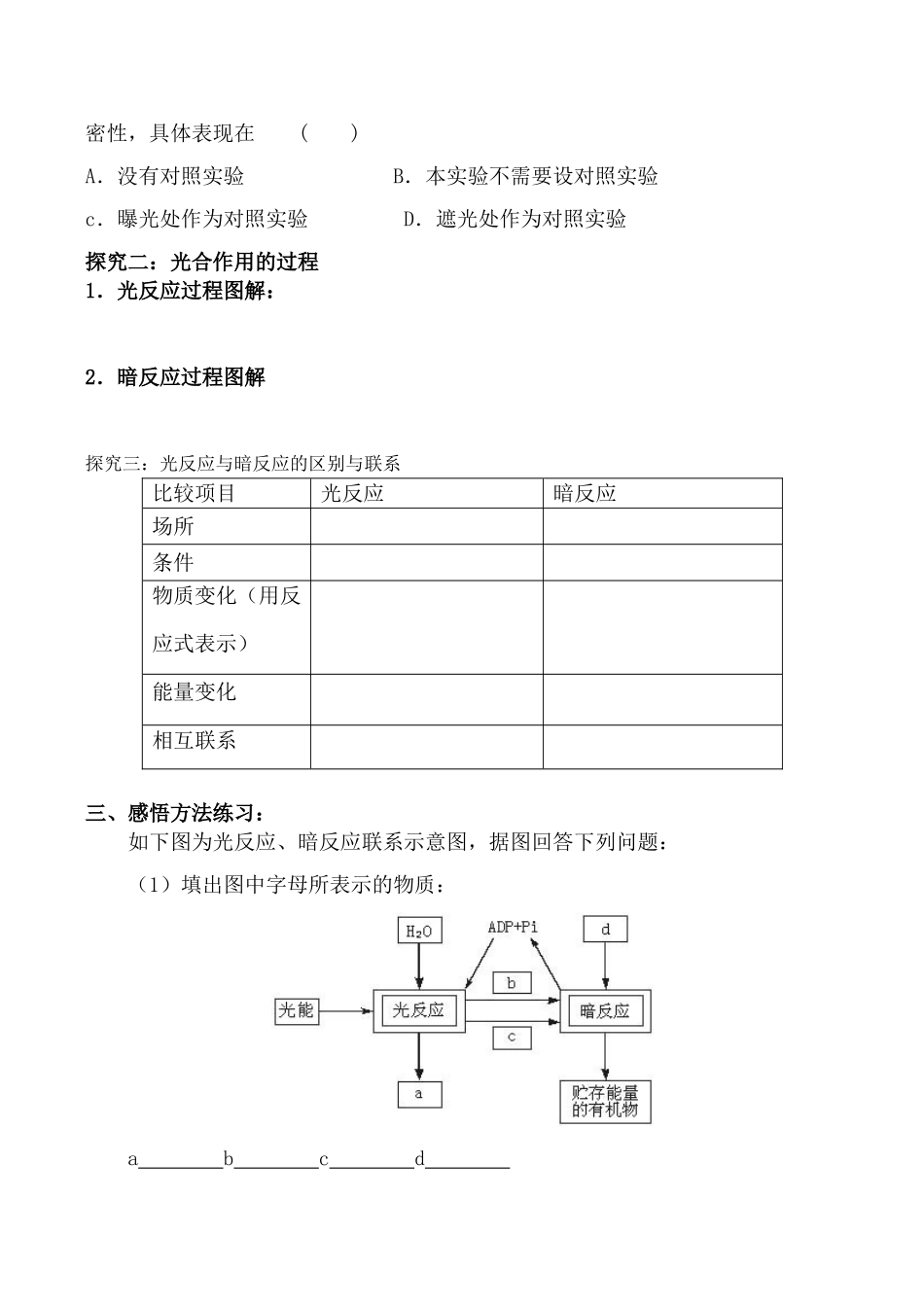 高中生物人教版必修1能量之源--光与光合作用2_第2页