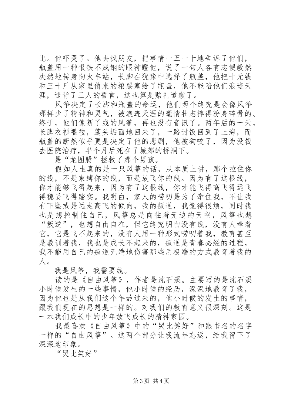 《自由风筝》读后感 _第3页