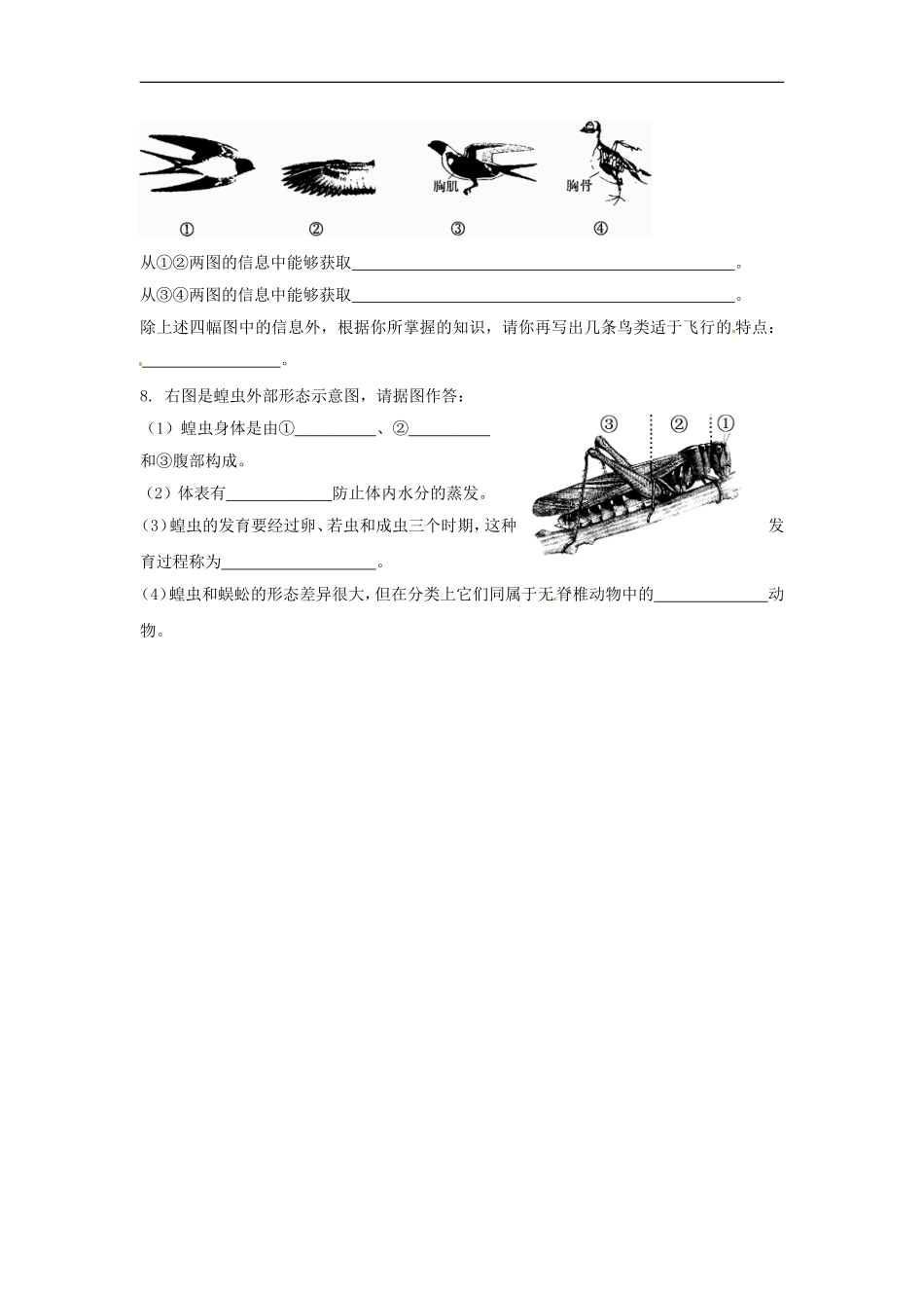 七年级生物下册第11章 空中的动物（教案）苏科版_第3页