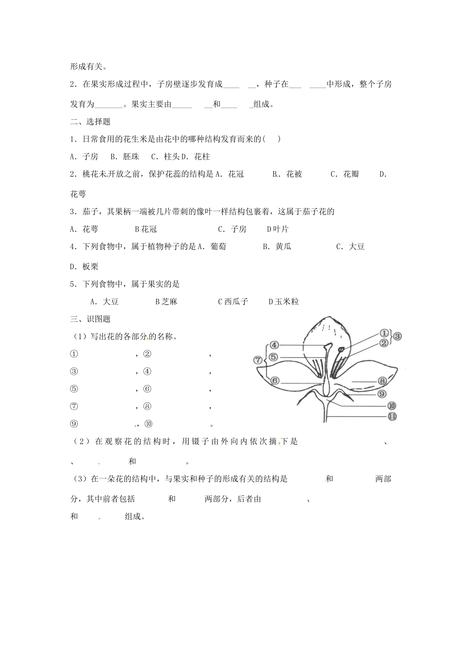 辽宁省辽阳市第九中学七年级生物上册《3.5.5 植物的开花和结果》学案（无答案） 新人教版_第2页