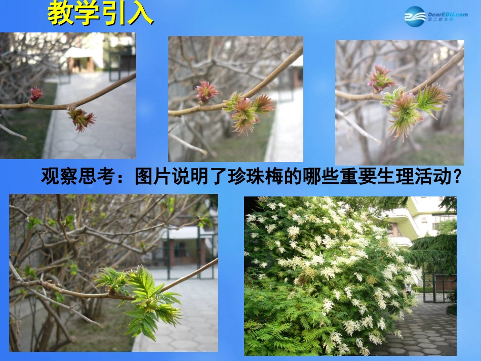 七年级生物上册 第5章 第1节 光合作用课件1 北师大版_第2页