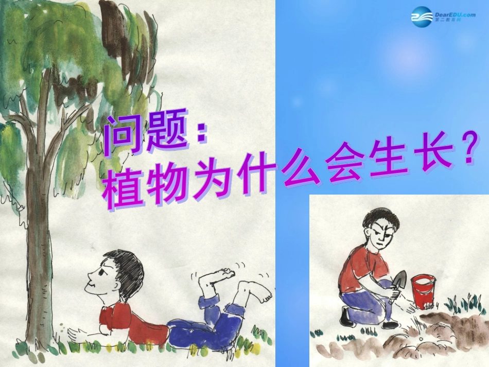 七年级生物上册 第5章 第1节 光合作用课件1 北师大版_第3页
