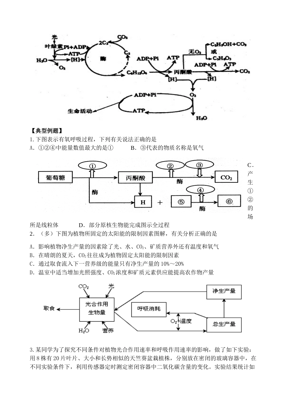 高中生物《细胞的能量供应》教案新人教版必修1_第3页