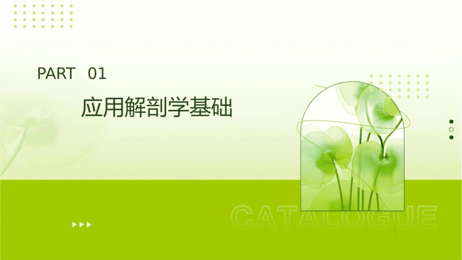 应用解剖与手术学护理课件_第3页