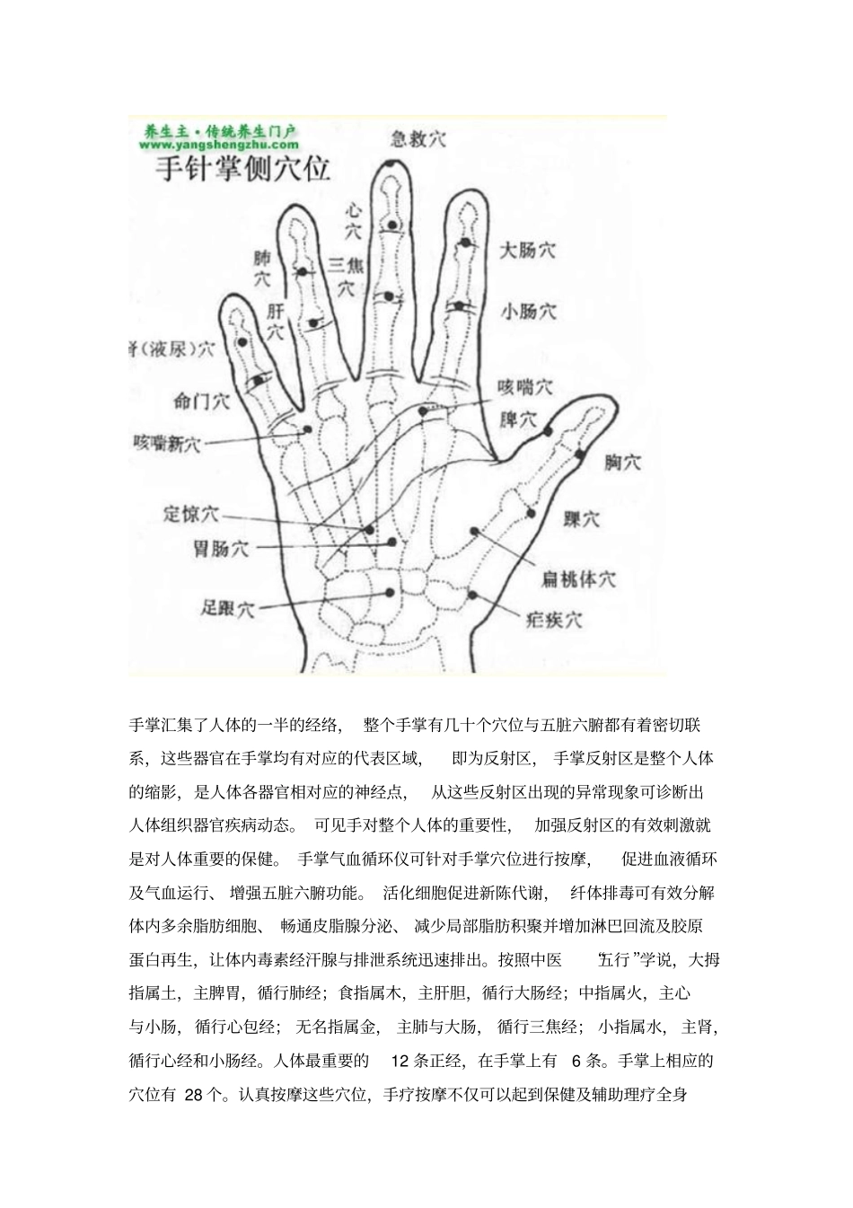 手掌特效穴位图解_第2页