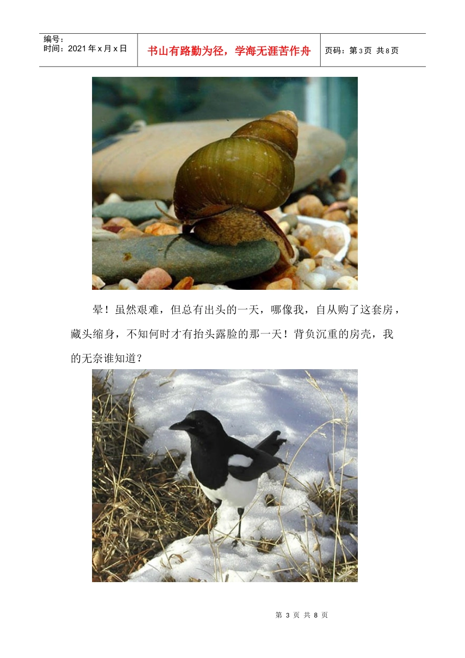 动物亲述动物世界的房地产_第3页