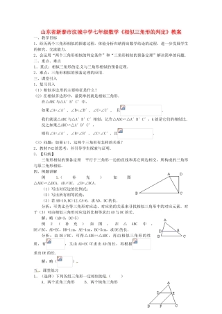 山东省新泰市汶城中学七年级数学《相似三角形的判定》教案