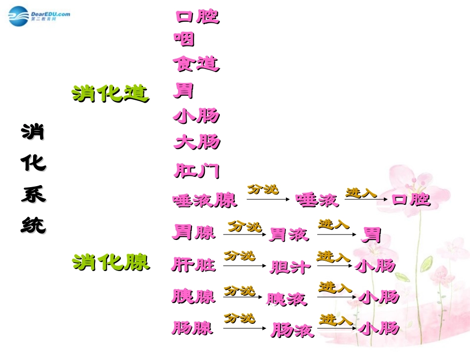 七年级生物下册 第九章 第二节 人体的消化与吸收课件3 （新版）苏教版_第3页
