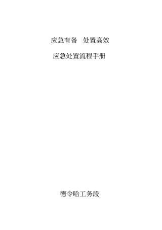 应急处置流程手册最终版