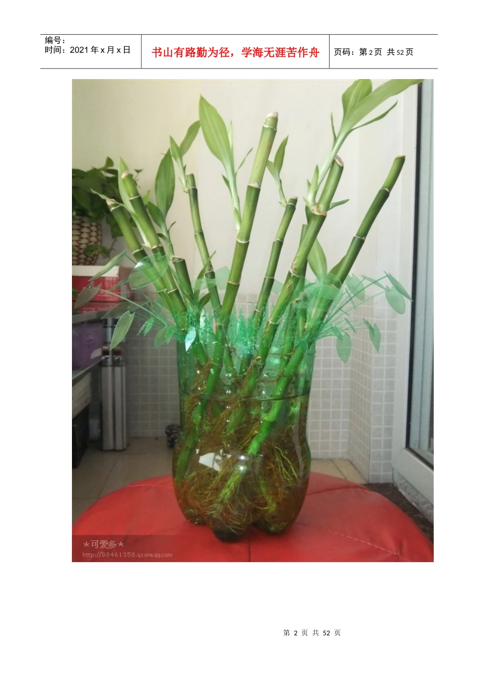 [转载]DIY我的改进版塑料瓶水培花篮_第2页