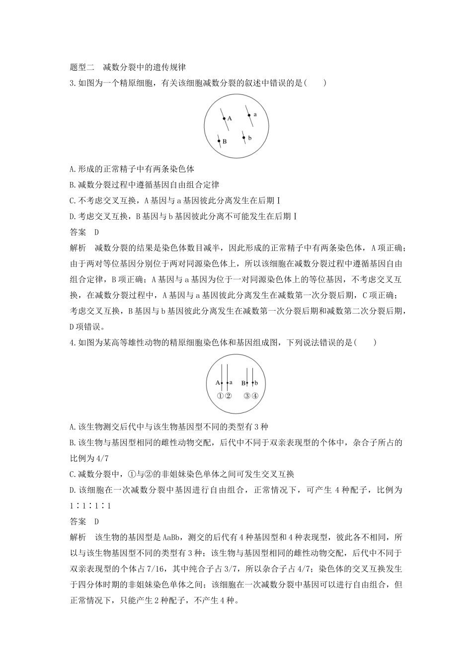 （浙江专版）高考生物一轮复习 热点题型突破二 细胞分裂与遗传变异的关系教案-人教版高三全册生物教案_第3页