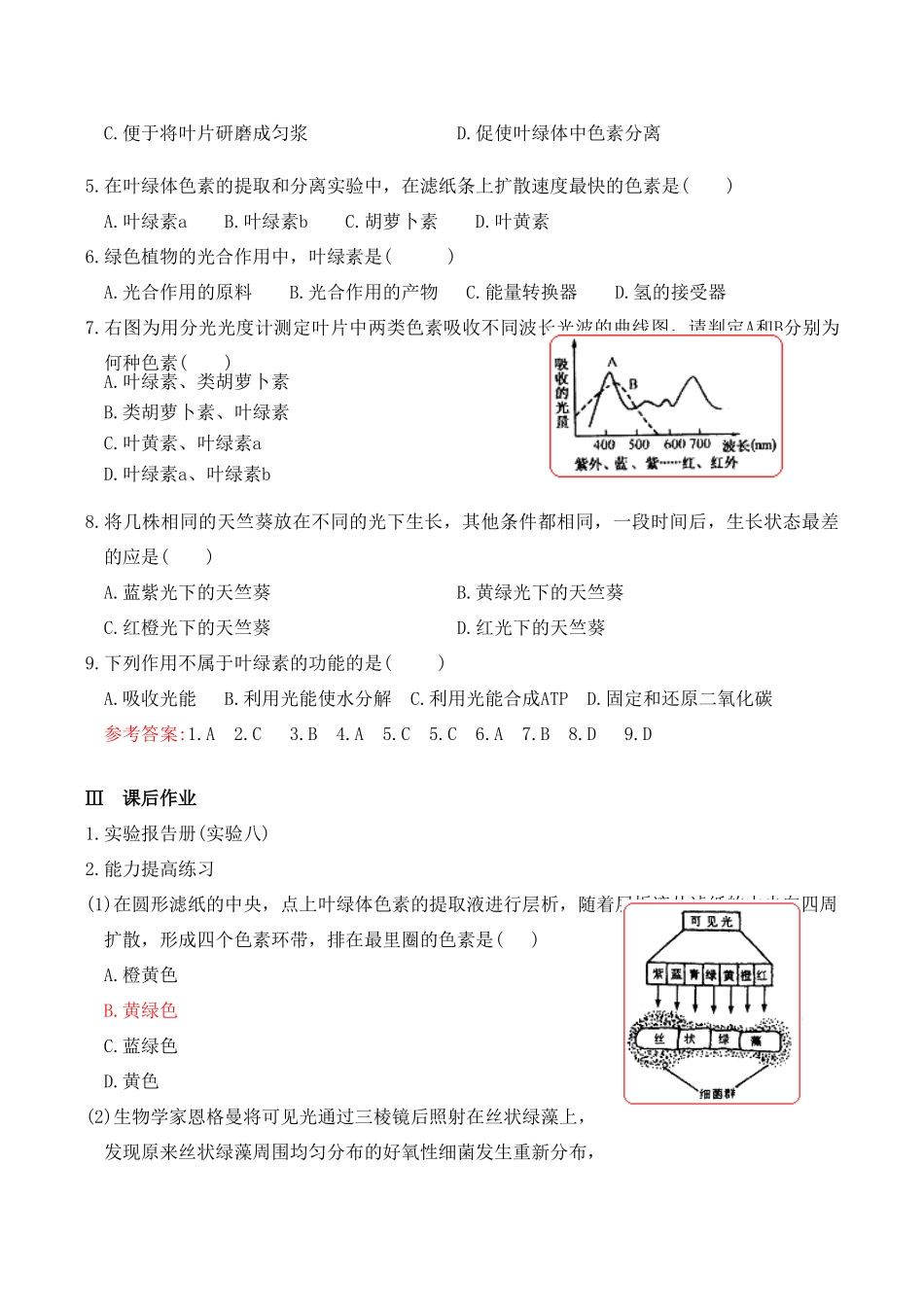 高二生物 叶绿体中色素的提取和分离_第3页