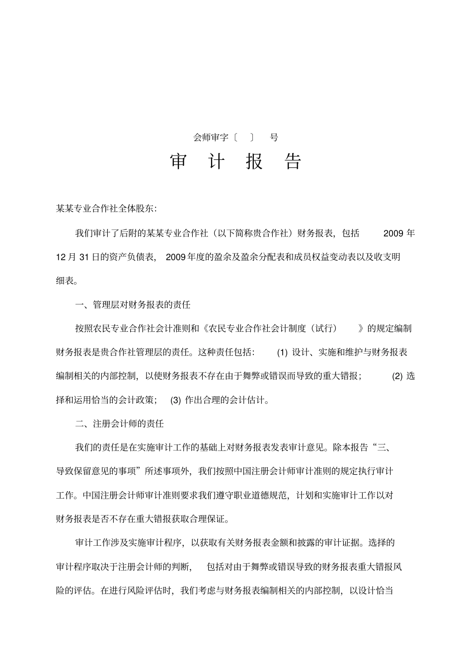 专业合作社--审计报告--范文_第1页