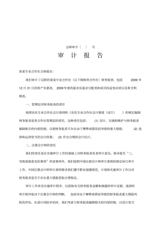 专业合作社--审计报告--范文