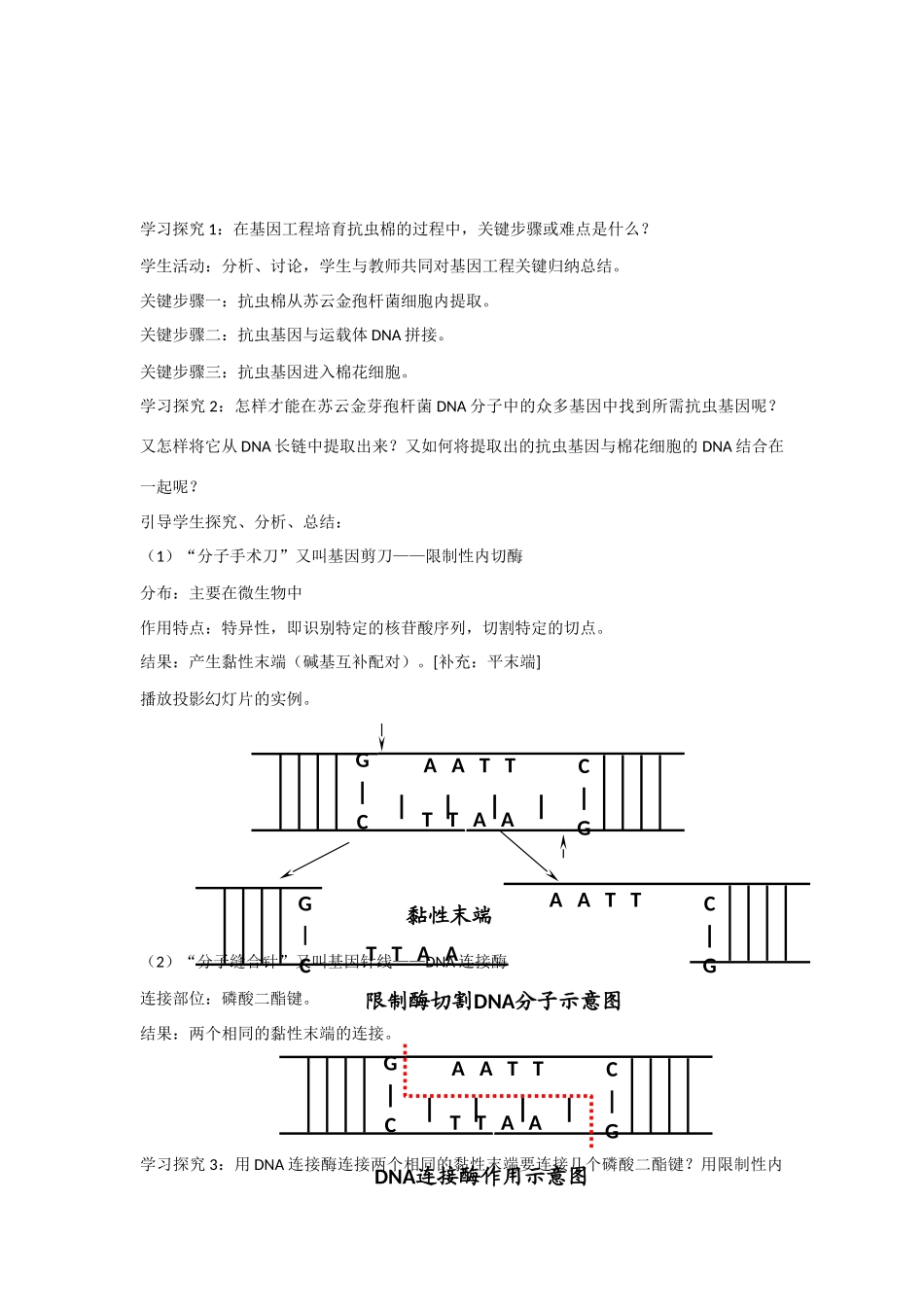 高中生物：1.1 DNA重组技术的基本工具 教案新人教版选修3_第3页