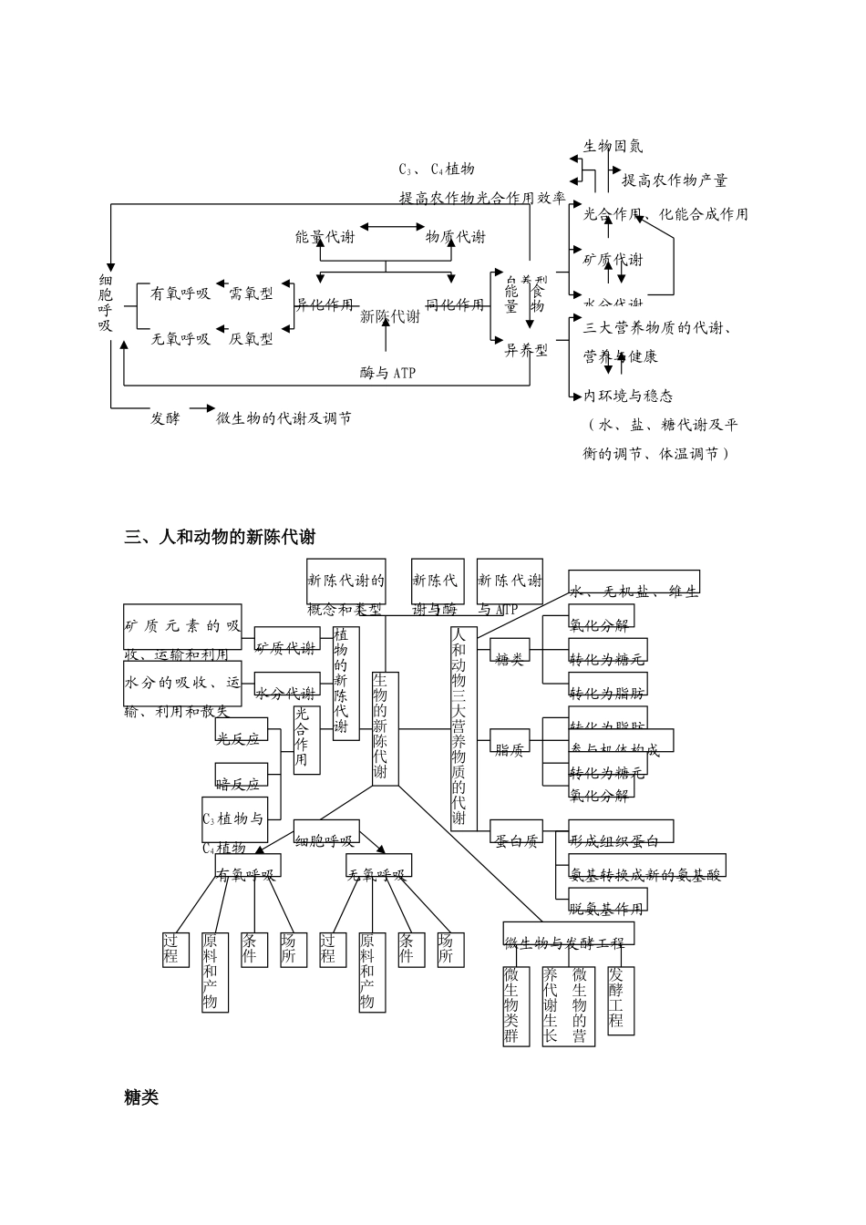 高中生物：《高中生物知识网络体系》教案_第3页