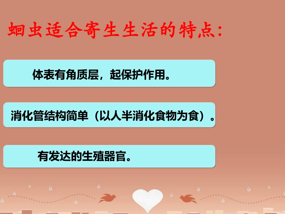 山东省龙口市诸由观镇诸由中学八年级生物上册 1.2 线形动物和环节动物课件 （新版）新人教版_第3页