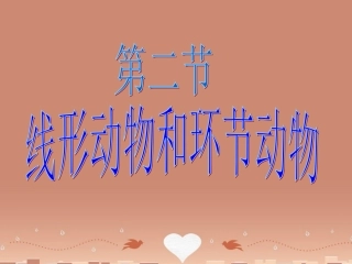 山东省龙口市诸由观镇诸由中学八年级生物上册 1.2 线形动物和环节动物课件 （新版）新人教版