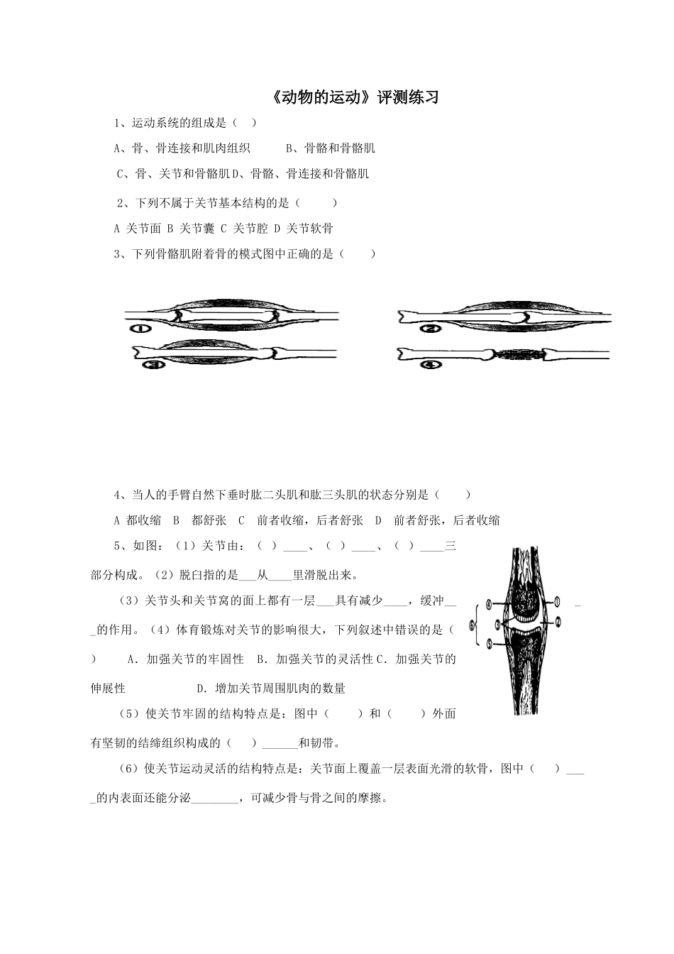 七年级生物上册 2.2.3 动物的运动练习（无答案）（新版）济南版_第1页