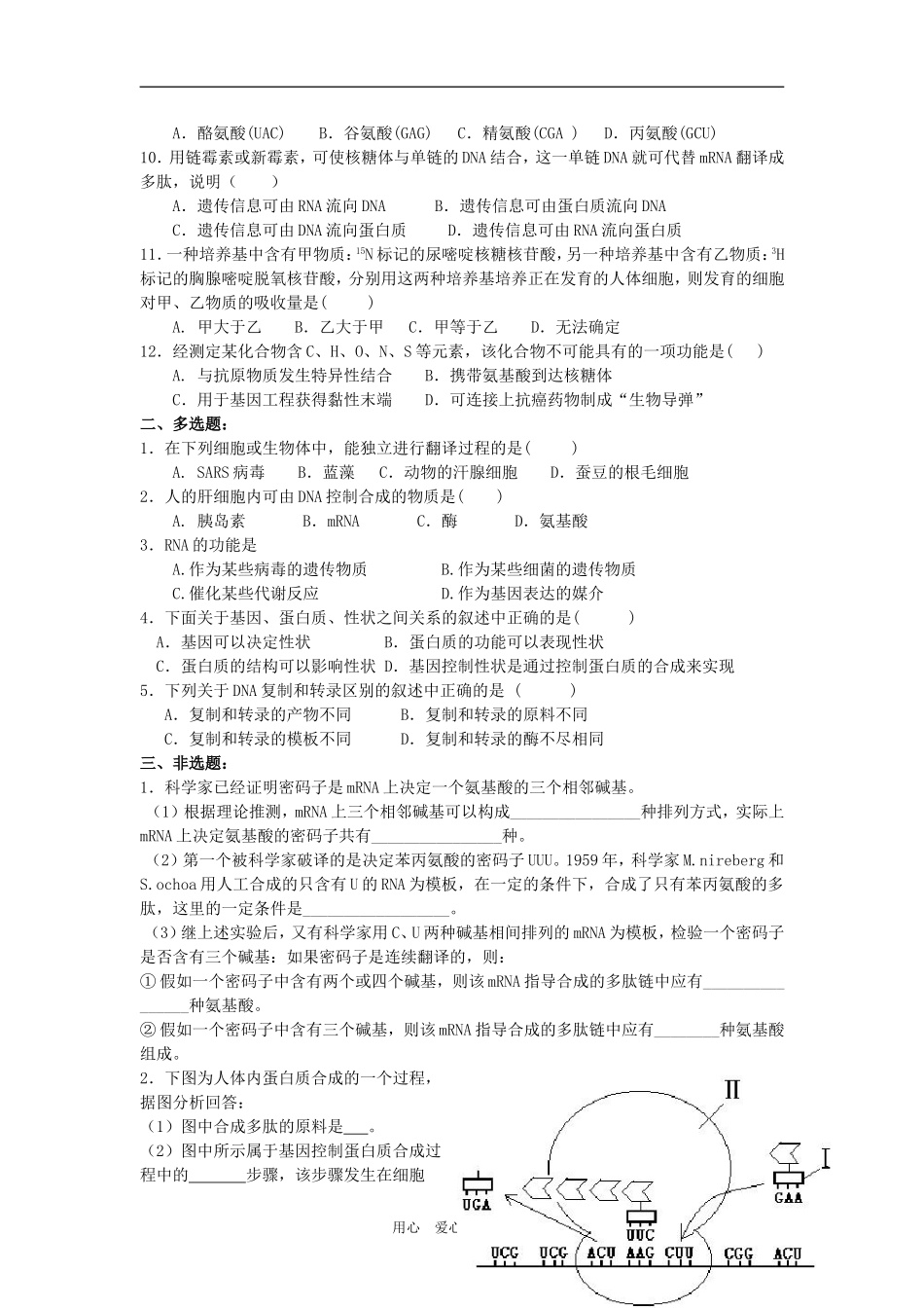 高中生物 第17课 基因的表达教案 新人教版必修2_第3页
