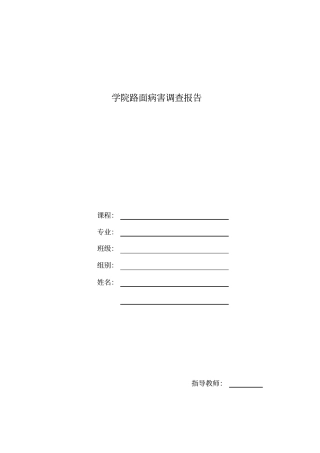 学校水泥砼路面病害报告
