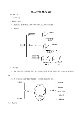 高二生物 酶与ATP