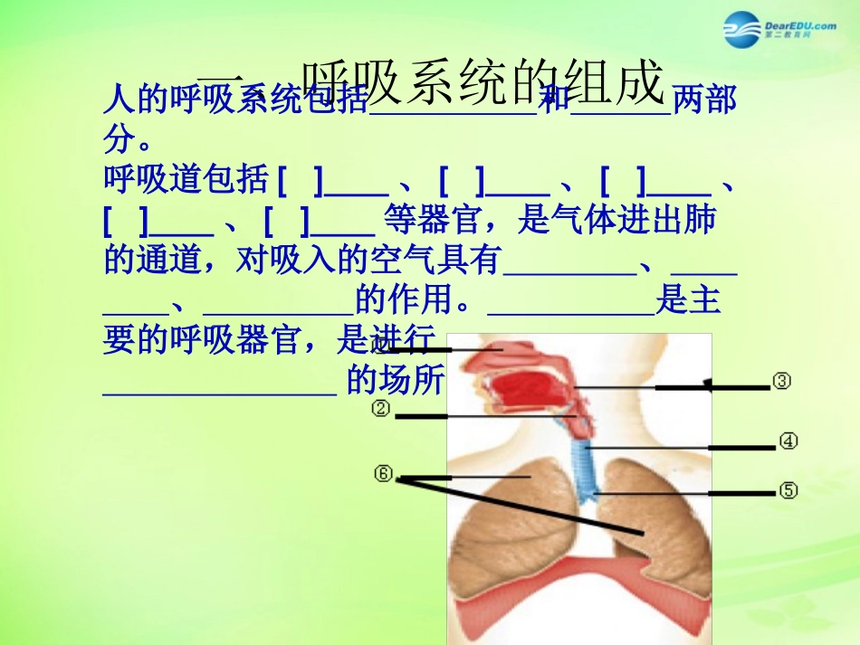 七年级生物下册 3.2 人的生活需要空气复习课件 济南版_第2页