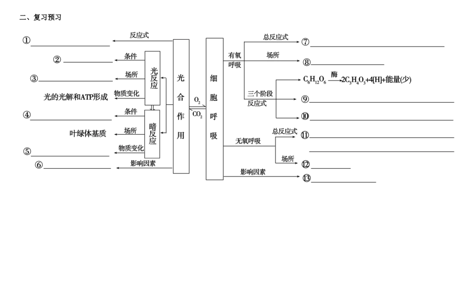 高三生物总复习 光合作用与呼吸作用教案-人教版高三全册生物教案_第3页