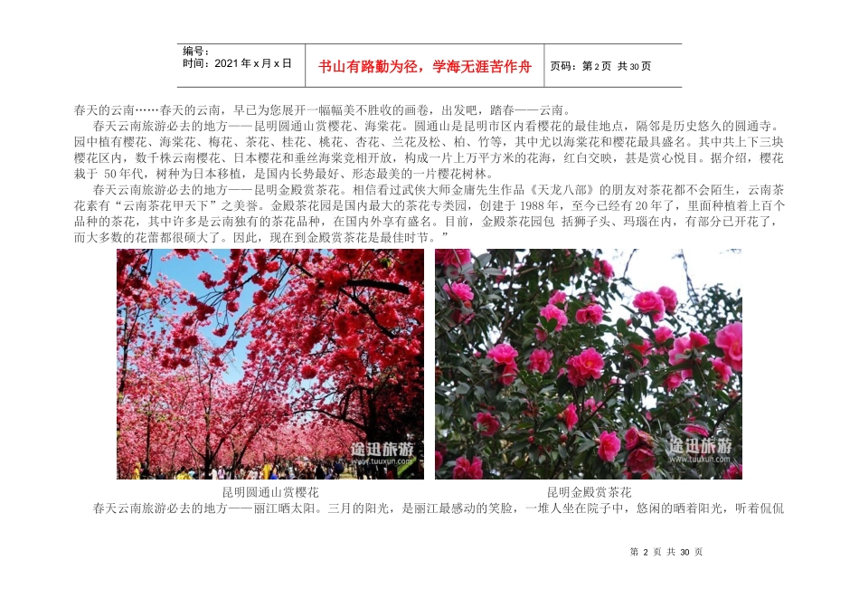 XXXX云南旅游攻略大全_第2页