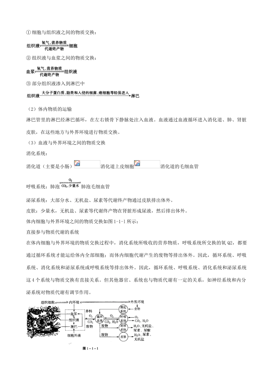 高中生物内环境与稳态 知识全析 新课标 人教版 必修3_第2页
