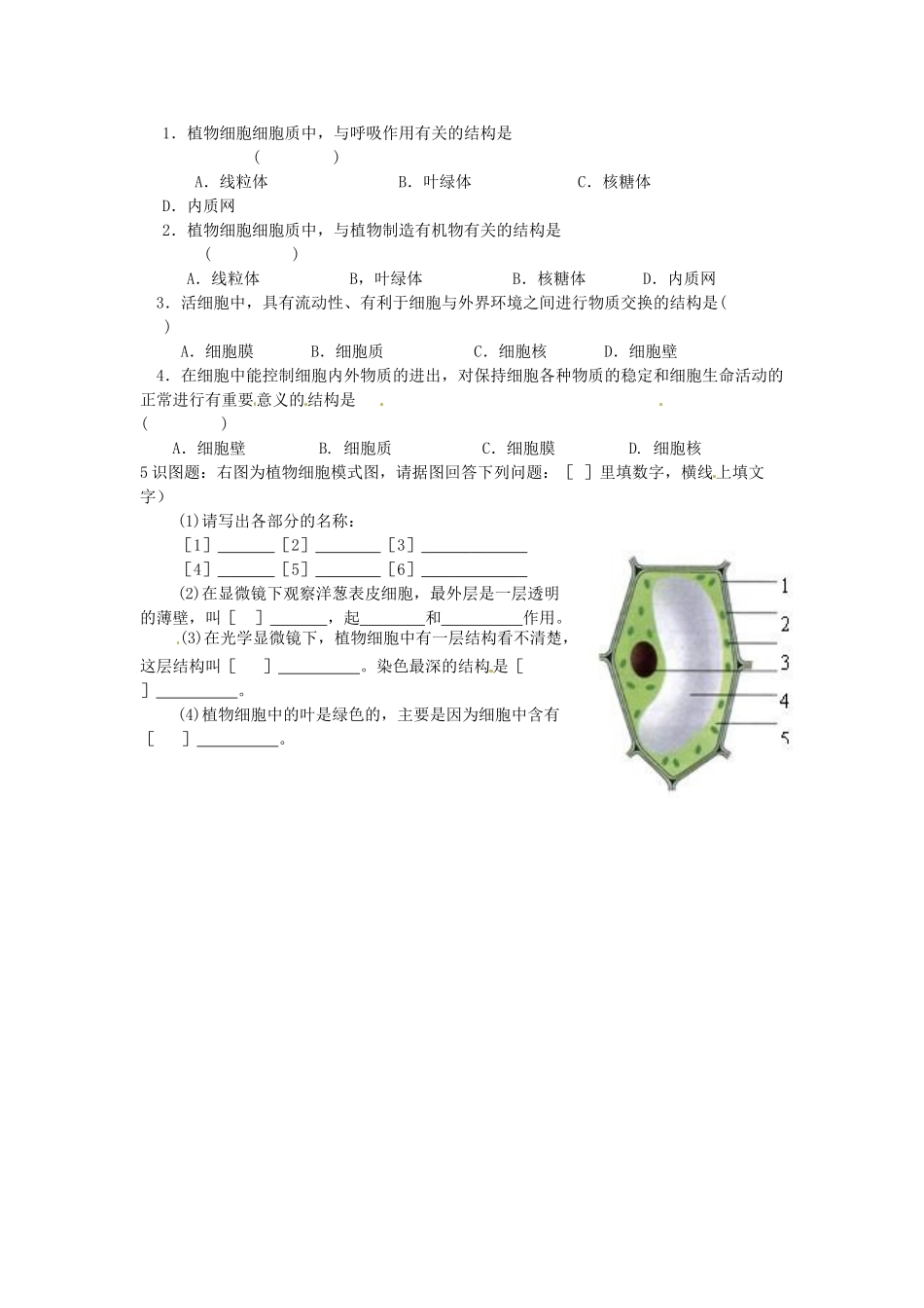 辽宁省辽阳市第九中学七年级生物上册《2.3.1 植物细胞的结构和功能》学案（无答案） 新人教版_第2页