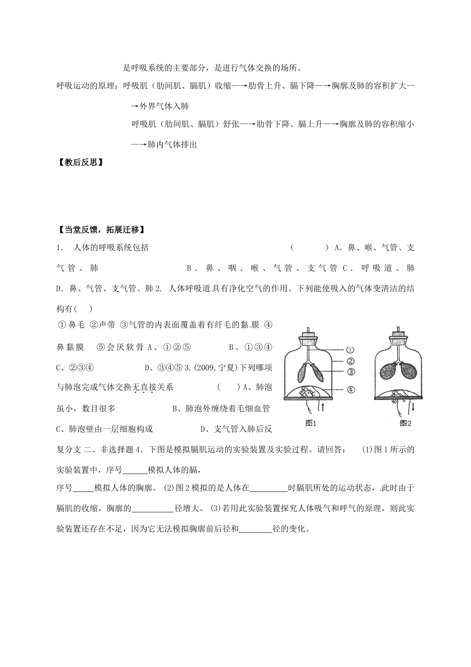 七年级生物上册 7.2 人体的呼吸教案1 （新版）苏科版-（新版）苏科版初中七年级上册生物教案_第3页