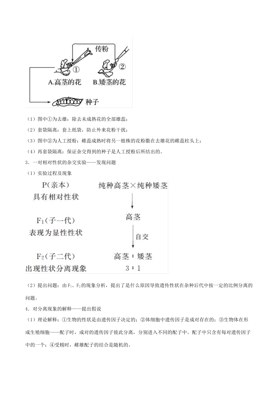 高考生物二轮复习 专题08 遗传的基本规律（讲）（含解析）-人教版高三全册生物教案_第2页