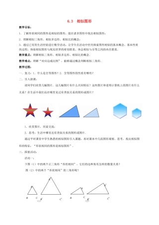 九年级数学下册 第6章 图形的相似 6.3 相似图形教案 （新版）苏科版-（新版）苏科版初中九年级下册数学教案