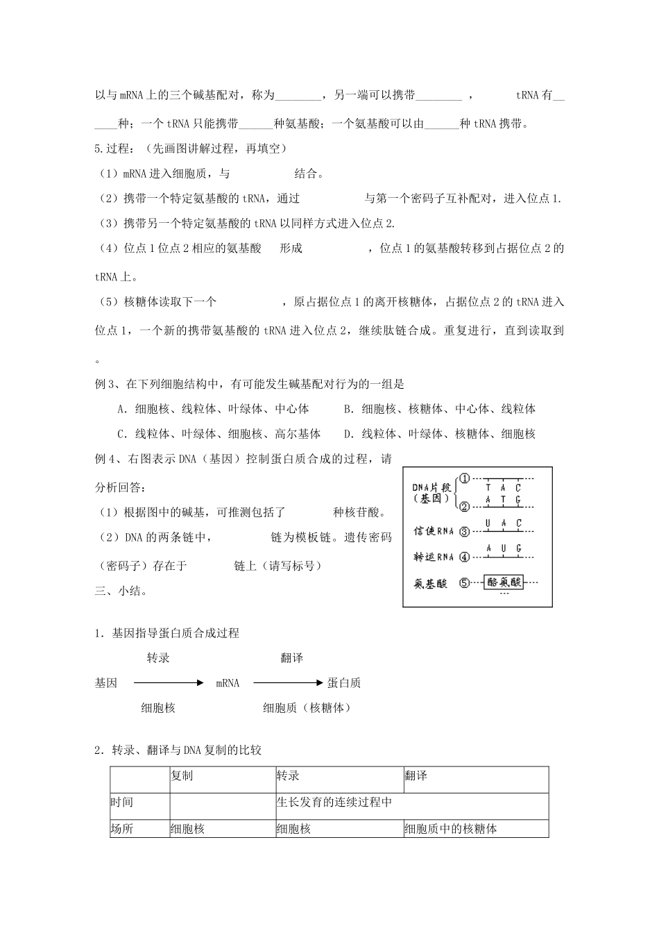 高二生物生物：4.1《基因指导蛋白质的合成》教案2新人教版_第3页