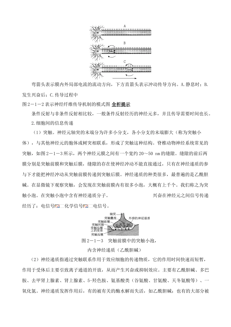 高中生物通过神经系统的调节 教材分析 新课标 人教版 必修3_第3页